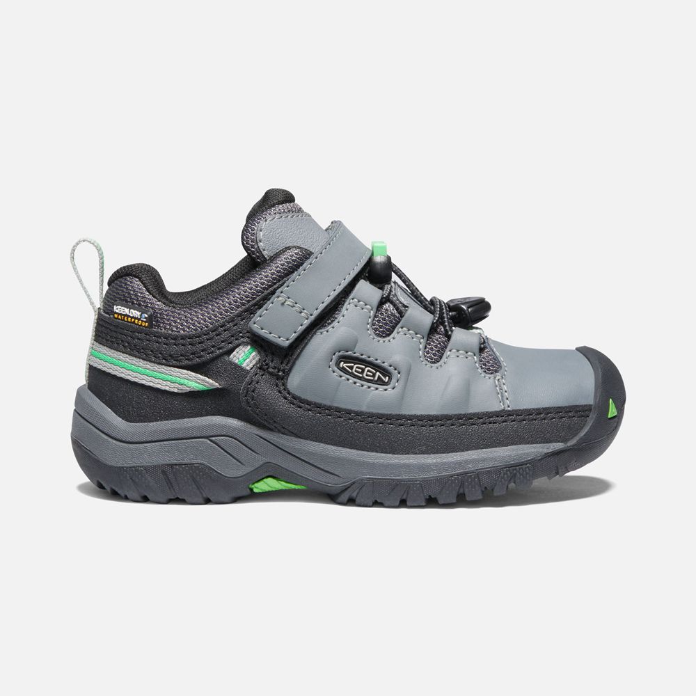 Keen Wandelschoenen Kinderen Grijs/Groen - Targhee Waterproof - 46813-XZQC